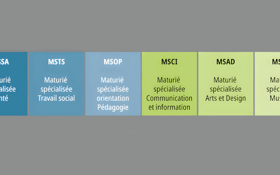 Séance d’information 4MS