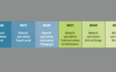 Séance d’information 4MS